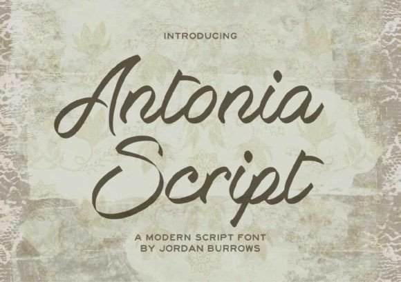 Antonia Script: Elevate Your Designs with Elegant Flow