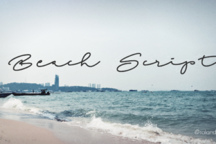 Bring the Coast to Your Creative Projects