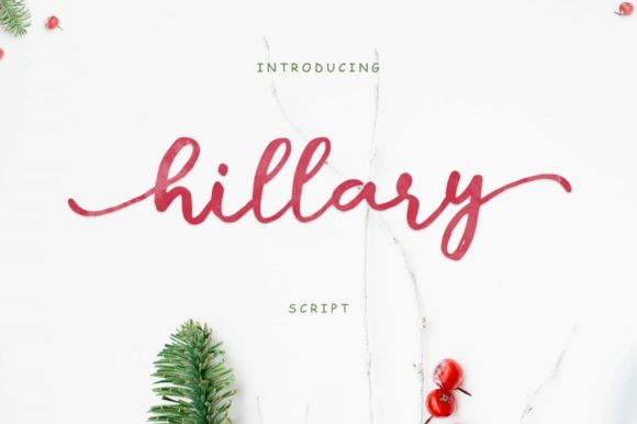 Bring Your Creative Ideas to Life with Hillary Script