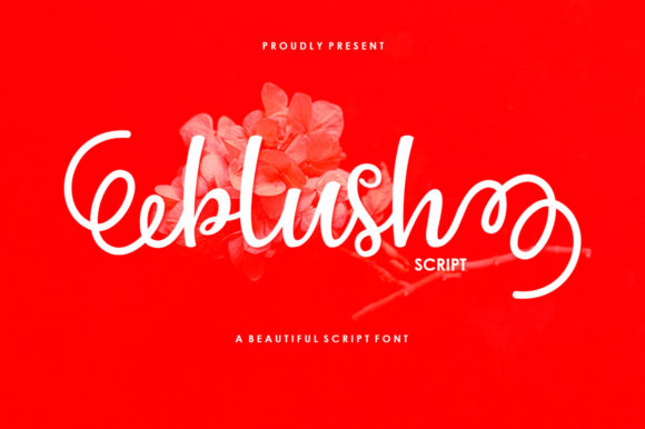 How Blush Script Brings a Playful, Dancing Energy to Your Work