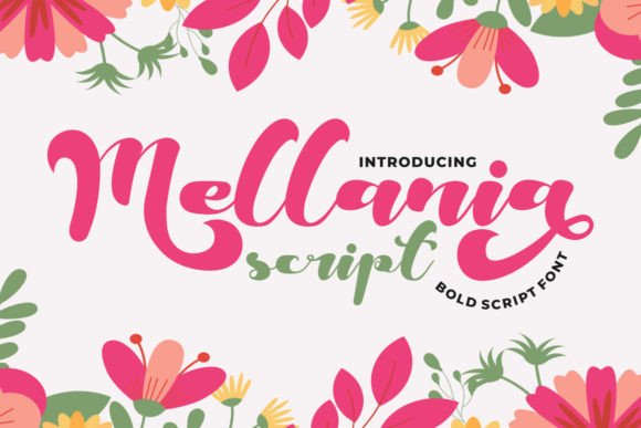 Mellania Script: Where Boldness Meets Soft Charm in Modern Typography