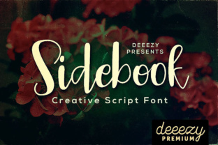 Sidebook Script: Your New Favorite Font for Authentic Design