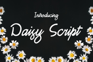 Why Daisy Script is a Go-To Font for Elegant, Feminine Projects
